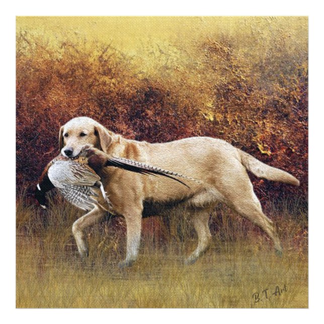 Hunting pheasant, Autumn Faux Canvas Print Acrylic (Front)