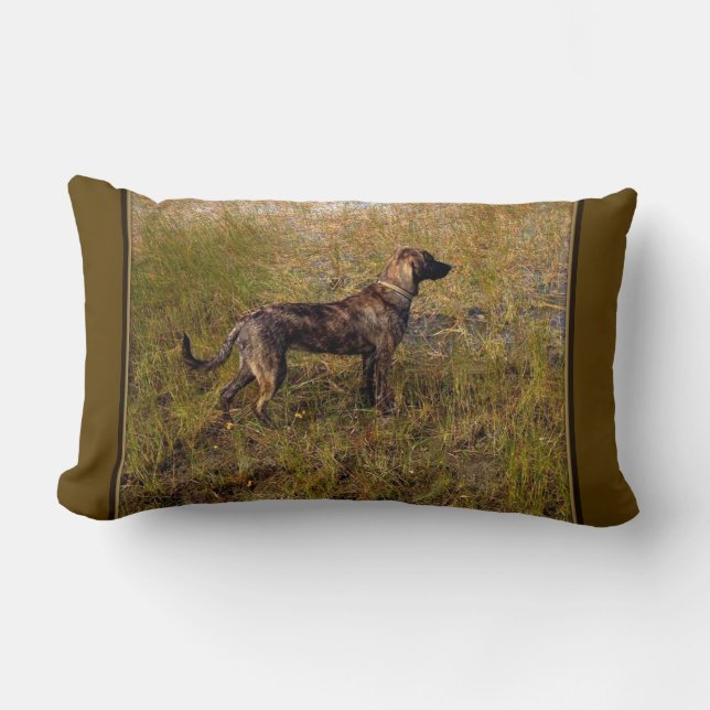 Hunting Plott Hound  Throw Pillow (Front)