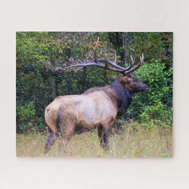 Hunting Season - Bull Elk - 16x20 inch Jigsaw Puzzle (Horizontal)