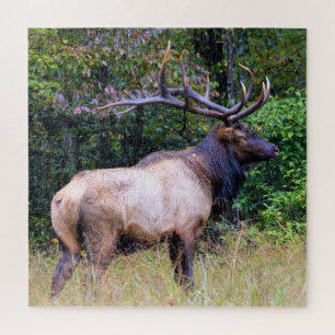 Hunting Season - Bull Elk - 20x20 inch Jigsaw Puzzle