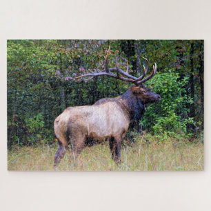 Hunting Season - Bull Elk - 20x30 inch Jigsaw Puzzle