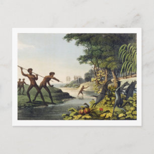Hunting the Kangaroo, aborigines in New South Wale Postcard