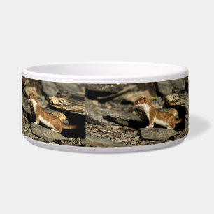 Hunting Weasel