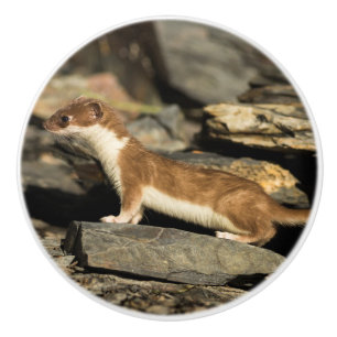 Hunting Weasel Ceramic Knob