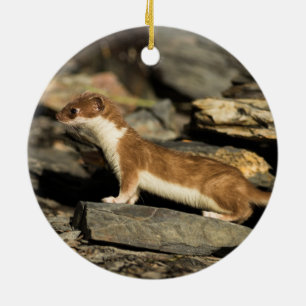Hunting Weasel Ceramic Ornament
