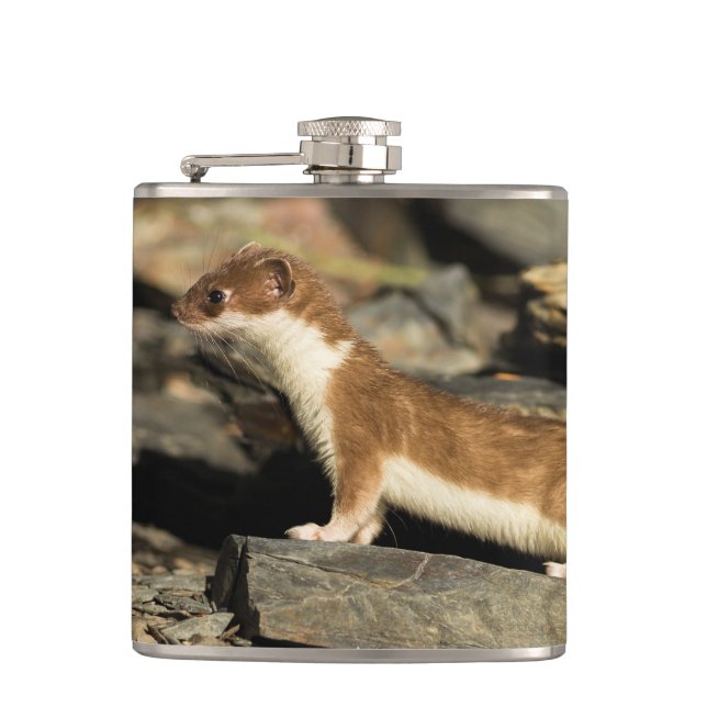 Hunting Weasel Hip Flask (Front)