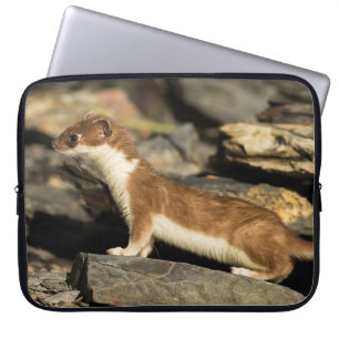 Hunting Weasel Laptop Sleeve
