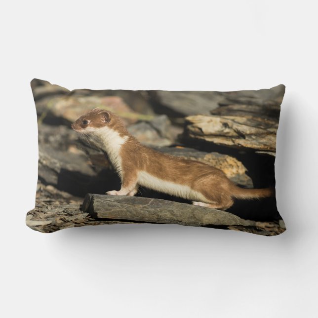 Hunting Weasel Lumbar Cushion (Front)