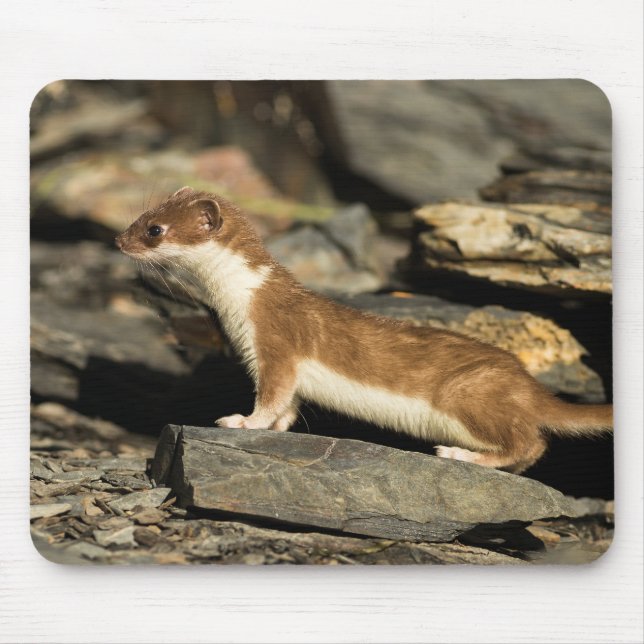 Hunting Weasel Mouse Pad (Front)