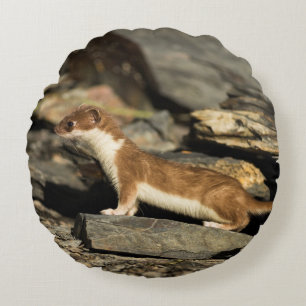Hunting Weasel Round Cushion