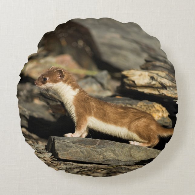 Hunting Weasel Round Cushion (Front)