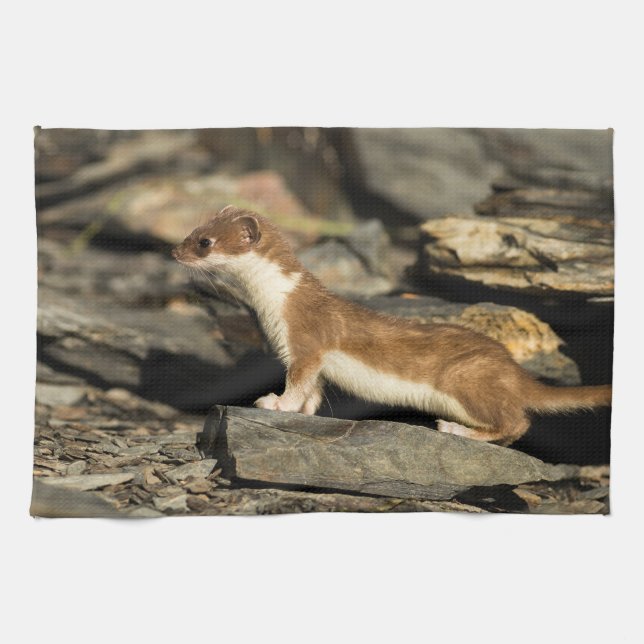 Hunting Weasel Tea Towel (Horizontal)