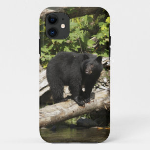 Hunting Wild Black Bear Wildlife Photo iPhone 11 Case