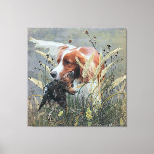 Hunting with Epagneul Breton Canvas Print
