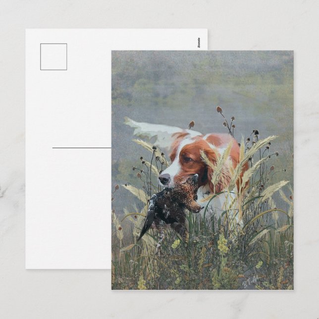Hunting with Epagneul Breton   Holiday Postcard (Front/Back)