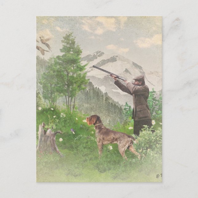 Hunting with German Wirehaired Pointer  Postcard (Front)