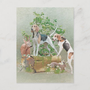 Hunting with hounds postcard