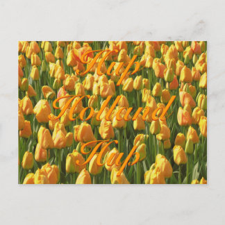 Hup Holland Hup Orange Tulips Postcard