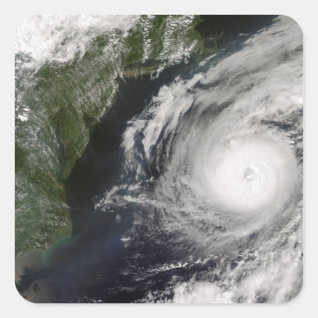 Hurricane Alex 2 Square Sticker (Front)