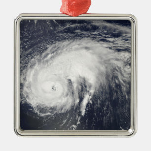 Hurricane Danielle Metal Tree Decoration