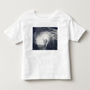Hurricane Danielle Toddler T-Shirt