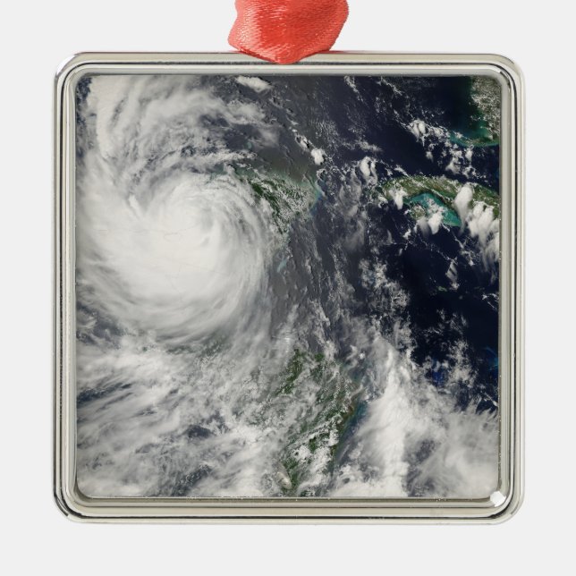 Hurricane Dean Metal Tree Decoration (Front)