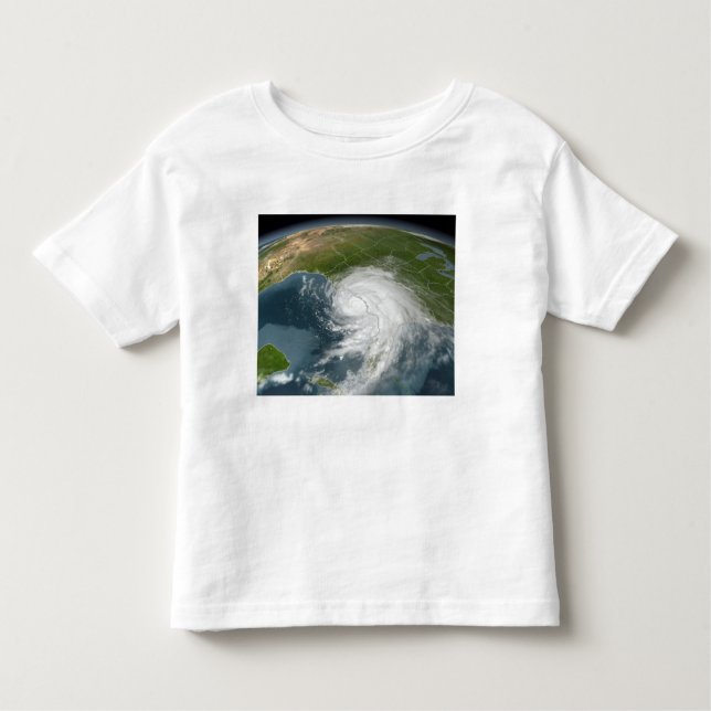 Hurricane Dennis 2 Toddler T-Shirt (Front)