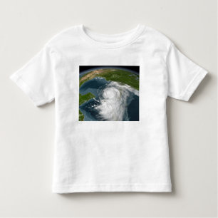 Hurricane Dennis 3 Toddler T-Shirt