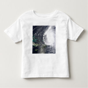 Hurricane Earl 2 Toddler T-Shirt