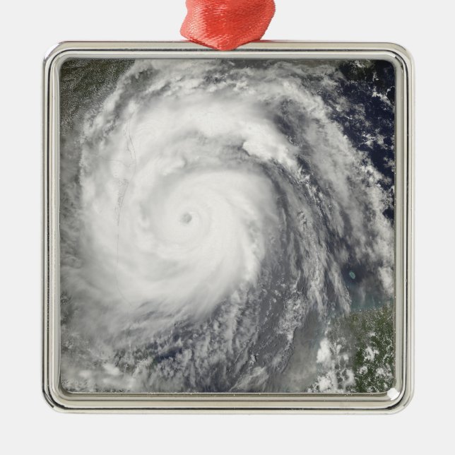 Hurricane Emily Metal Tree Decoration (Front)