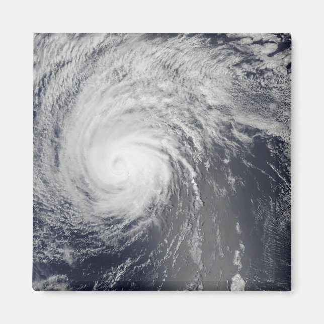 Hurricane Felicia Magnet (Front)