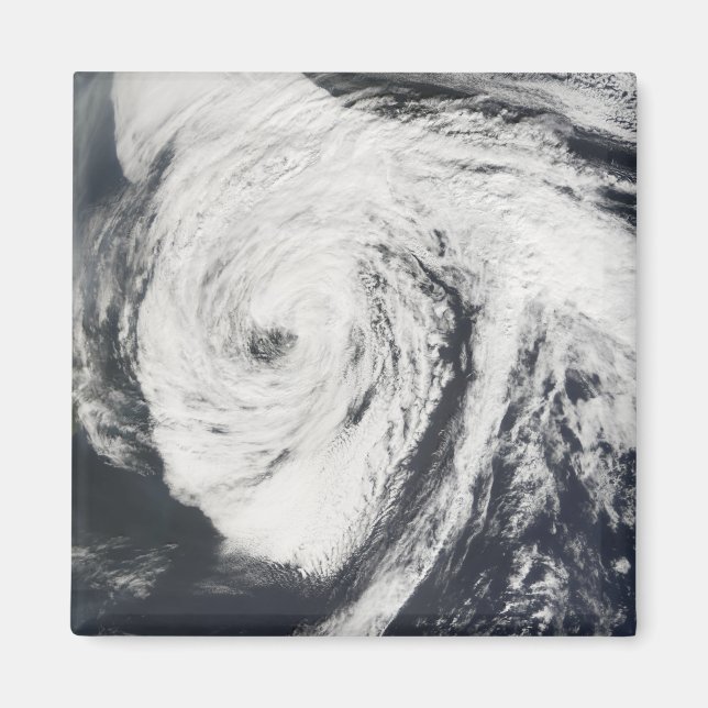 Hurricane Florence Magnet (Front)