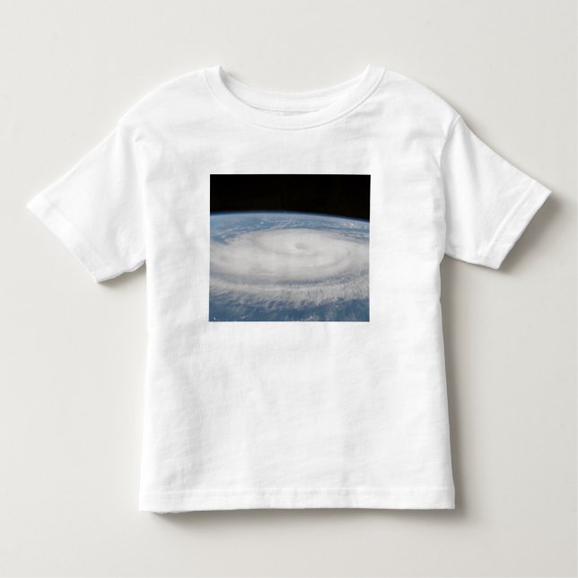 Hurricane Gordon 3 Toddler T-Shirt (Front)