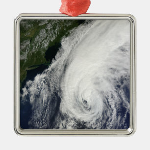 Hurricane Igor Metal Tree Decoration