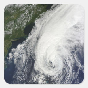 Hurricane Igor Square Sticker