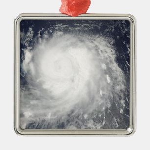 Hurricane Ike 5 Metal Tree Decoration