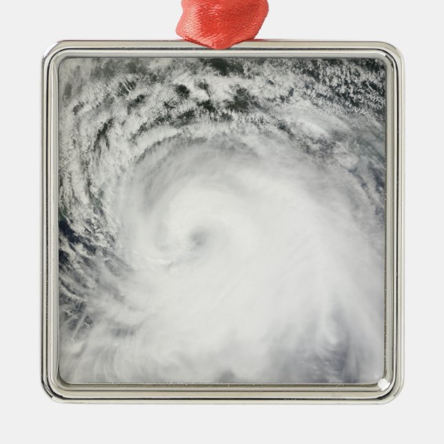 Hurricane Ike 6 Metal Tree Decoration (Front)