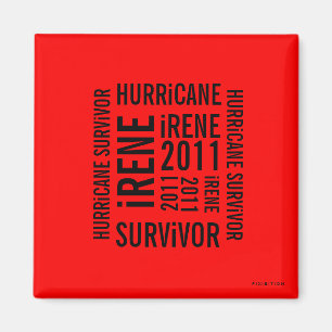 Hurricane Irene Survivor Flag Magnet 5