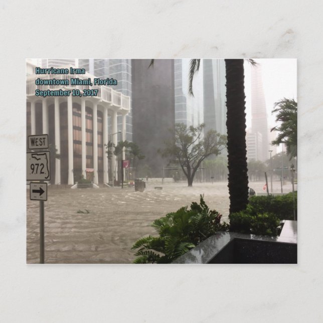 Hurricane Irma downtown Miami Postcard (Front)