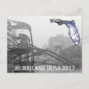 Hurricane Irma Florida 2017 Memorabilia Postcard