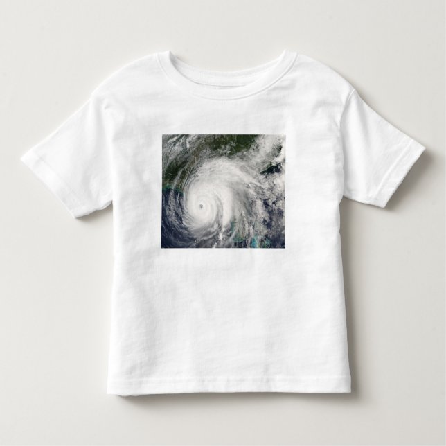 Hurricane Ivan 2 Toddler T-Shirt (Front)