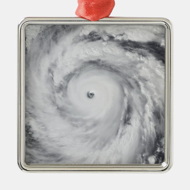 Hurricane Jangmi Metal Tree Decoration (Front)