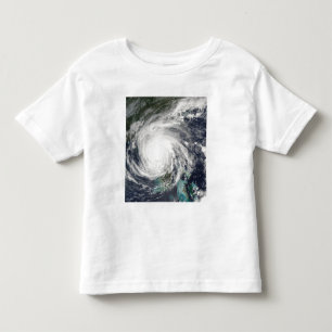 Hurricane Jeanne Toddler T-Shirt
