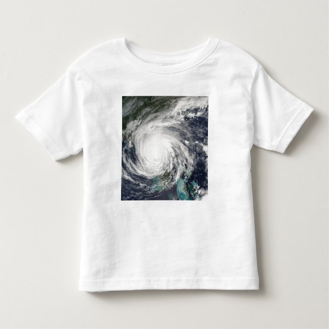 Hurricane Jeanne Toddler T-Shirt (Front)