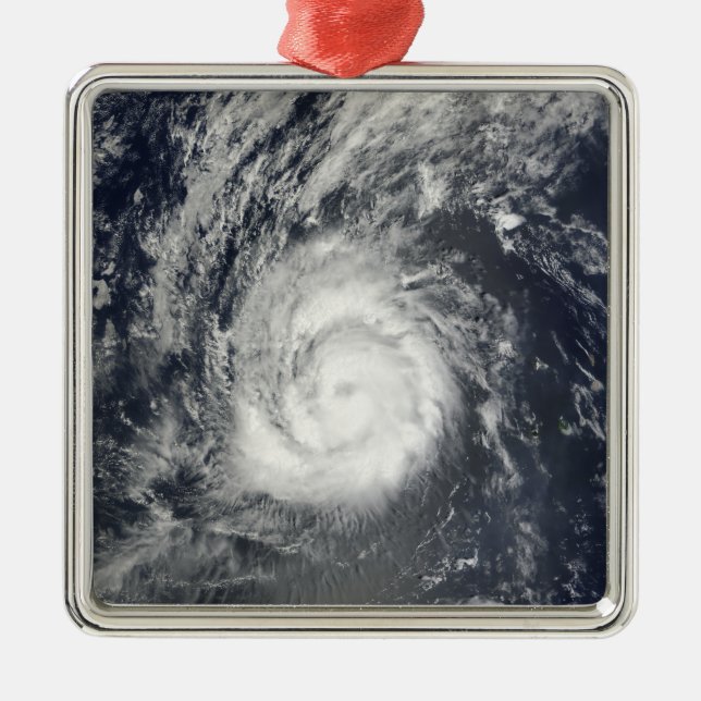 Hurricane Julia Metal Tree Decoration (Front)