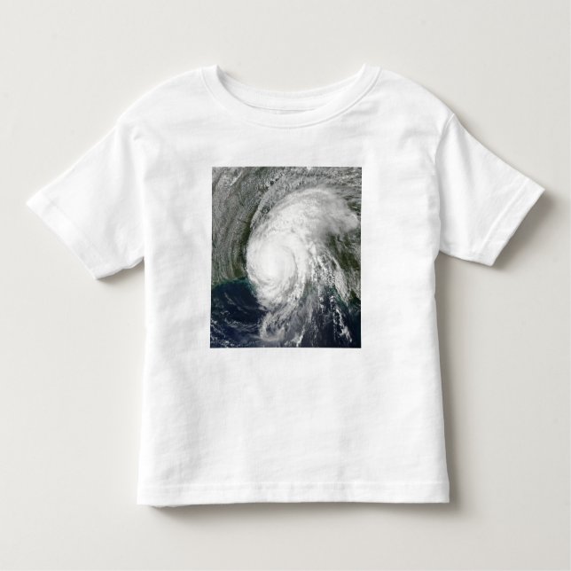 Hurricane Lili 3 Toddler T-Shirt (Front)