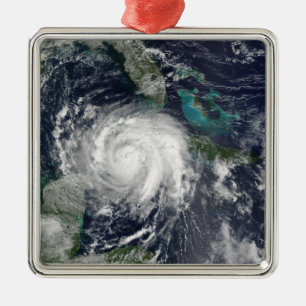 Hurricane Lili 4 Metal Tree Decoration