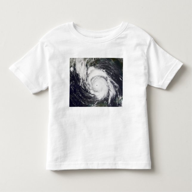 Hurricane Lili 5 Toddler T-Shirt (Front)