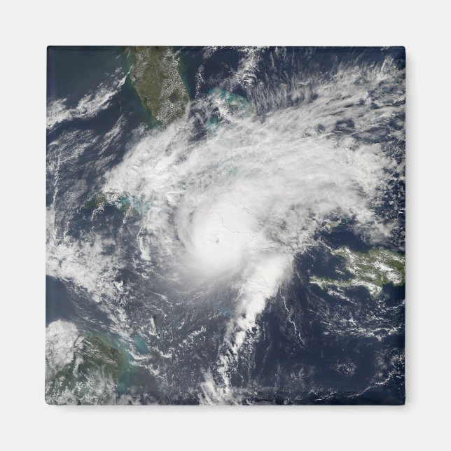 Hurricane Paloma Magnet (Front)