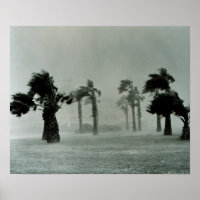 hurricane